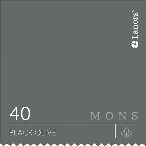 Краска Lanors Mons 40 Black Olive / Маслина