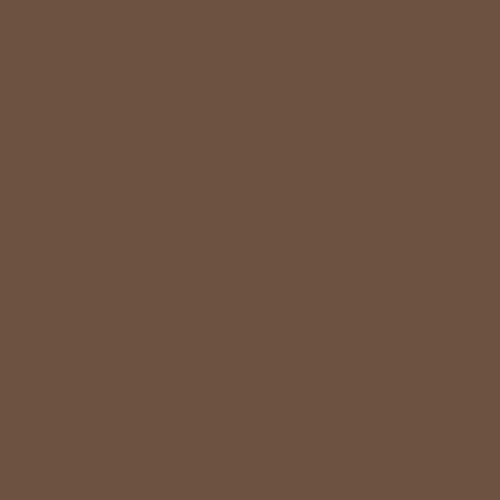 Краска Sherwin-Williams SW 2807 Rookwood Medium Brown