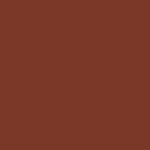 Краска Sherwin-Williams SW 2839 Roycroft Copper Red