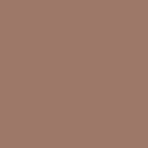 Краска Sherwin-Williams SW 6060 Moroccan Brown