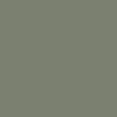 Краска Sherwin-Williams SW 6186 Dried Thyme
