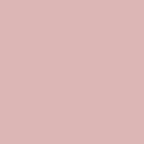 Краска Sherwin-Williams SW 6303 Rose Colored