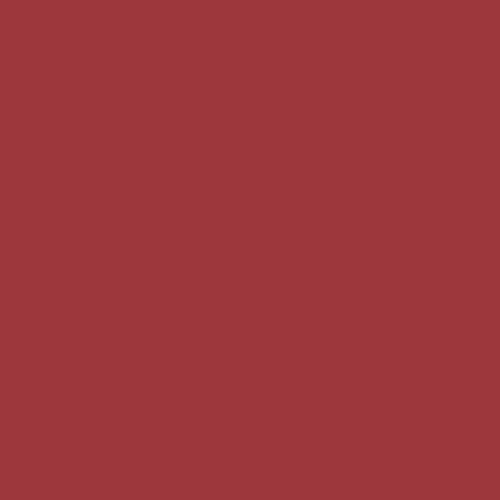 Краска Sherwin-Williams SW 6594 Poinsettia