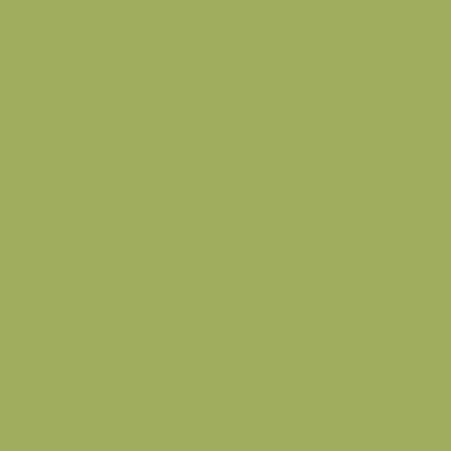 Краска Sherwin-Williams SW 9032 Stay in Lime