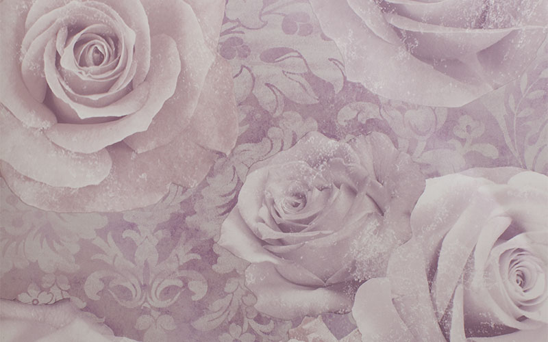 Бумажные обои Arthouse Options 3 623302 серо-розовые с розами