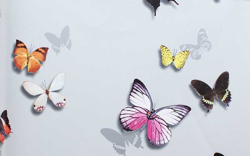 Бумажные обои Arthouse Tropics 690400 с бабочками на светло-сером фоне