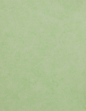Детские флизелиновые обои с муаром цвета зеленого лайма Aura Just 4 Kids G56044