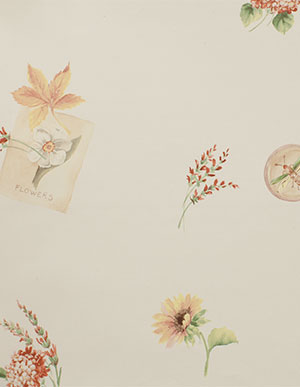 Обои для кухни цвета льняного полотна с изображением растений и насекомых Aura Kitchen Story 3 KC28510