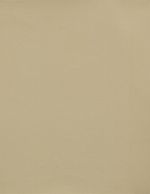 Желто-белые обои для стен с рисунком «елочка» Aura Silks & Textures NT33730