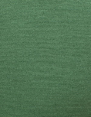 Зеленые виниловые обои BN Atelier 219505 с фактурой ткани