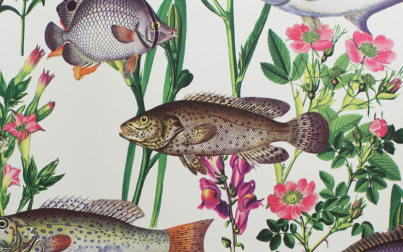 Бумажные обои Holden The Enchanted Garden 12170 с крупными рыбами и цветами
