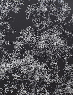 Черно-белые флизелиновые обои Khroma Zoom Kwai KWA501 с бонсаем
