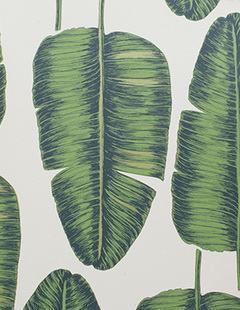 Флизелиновые обои Khroma Zoom Kwai KWA704 с зелеными банановыми листьями
