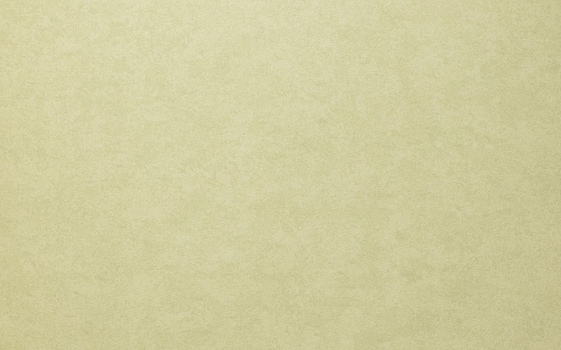 Бумажные обои Little Greene London Wallpapers 2 0273CPCOURT бледно-салатового цвета